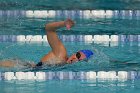 Swimming vs Bentley  Wheaton College Swimming & Diving vs Bentley College. - Photo by Keith Nordstrom : Wheaton, Swimming & Diving